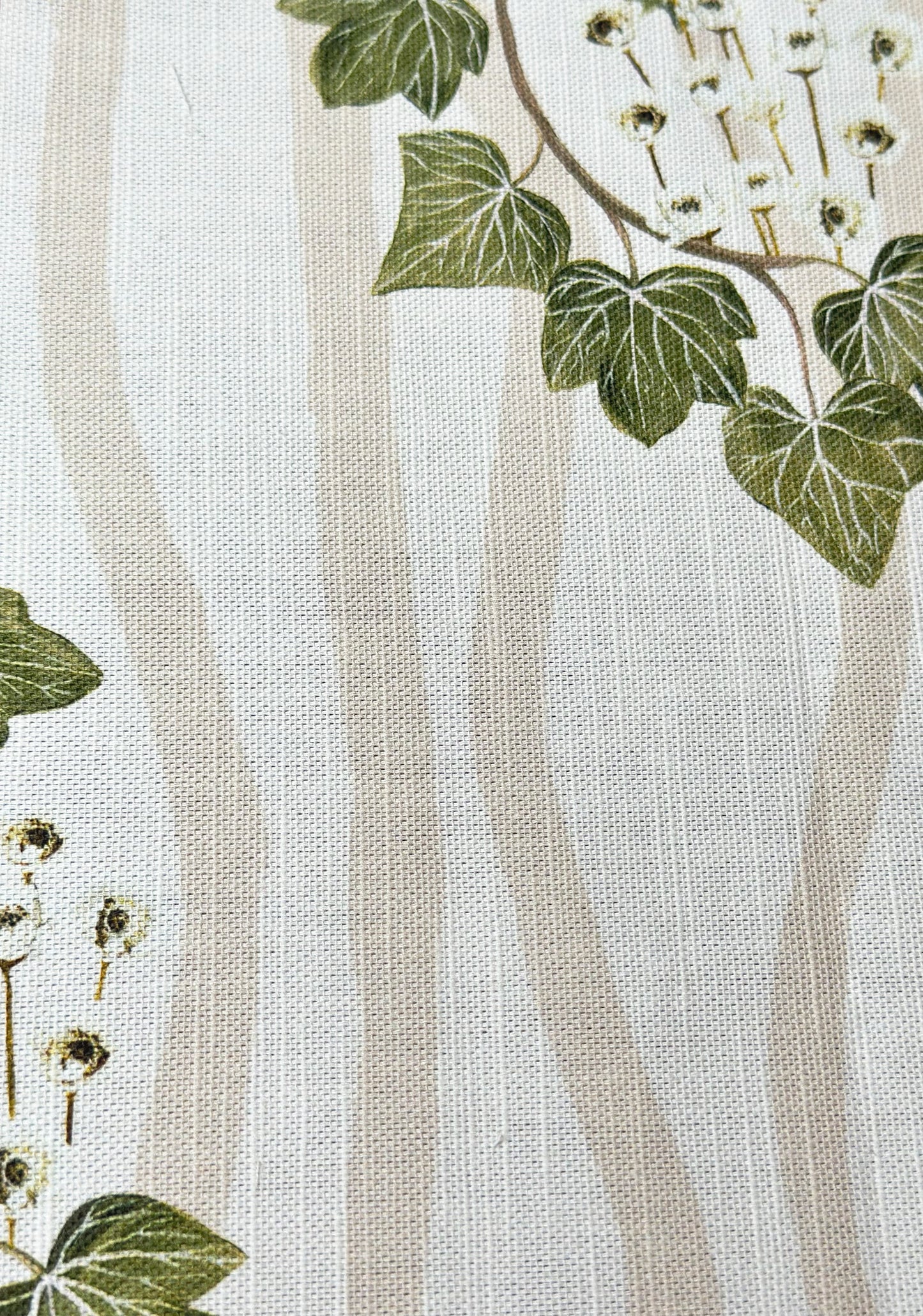 Folklore Ivy Stripe Fabric Cream / Beige