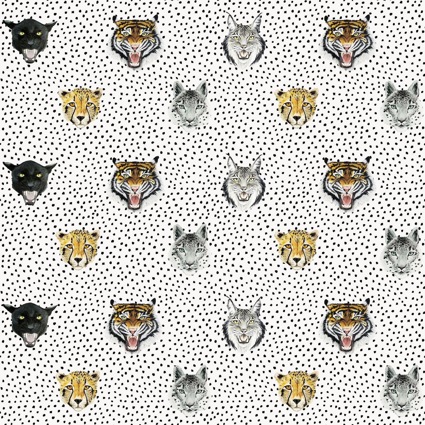 Wildcats Fabric in White