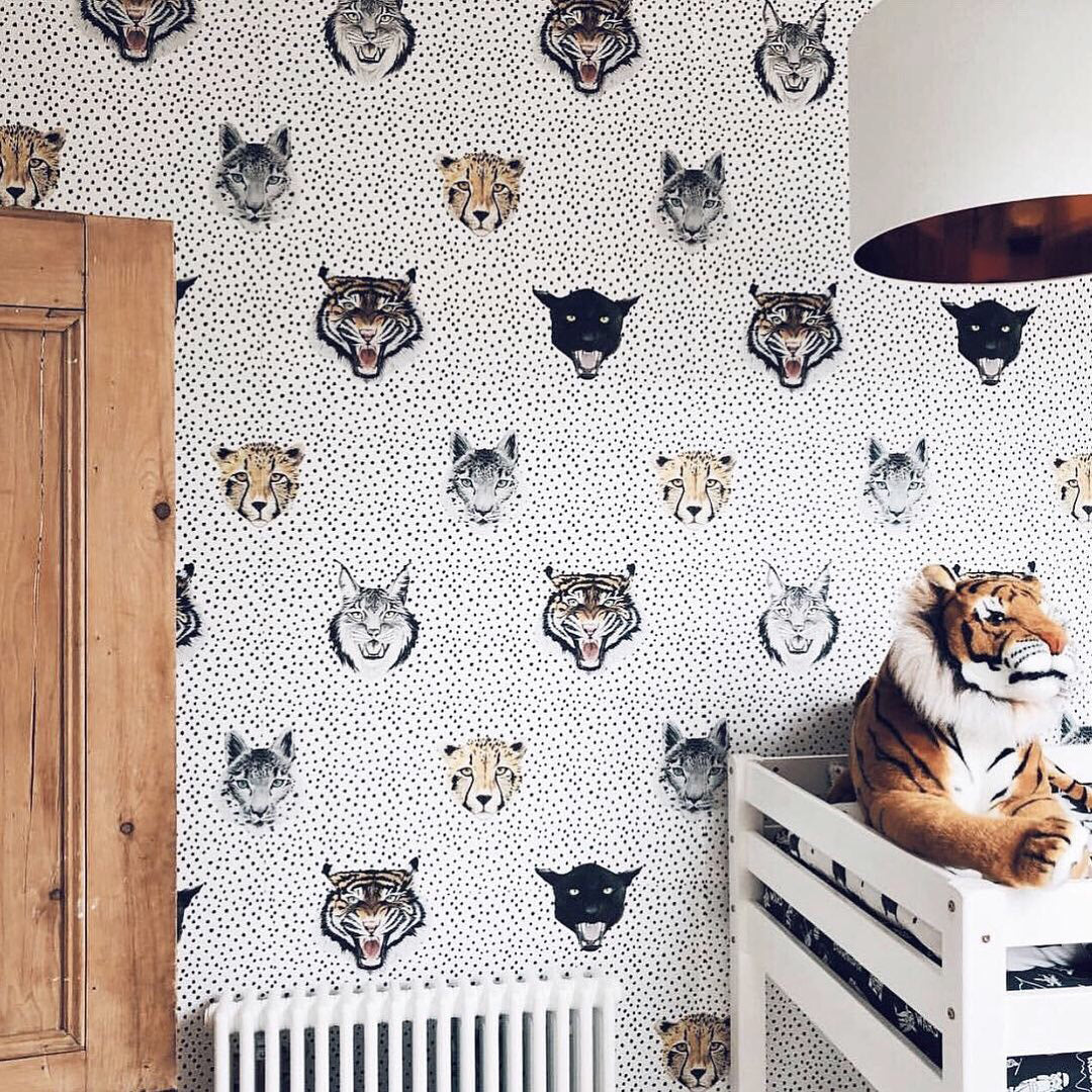 wildcats wallpaper, tiger wallpaper, lion wallpaper, safari wallpaper, kids bedroom ideas, boys wallpaper, girls wallpaper