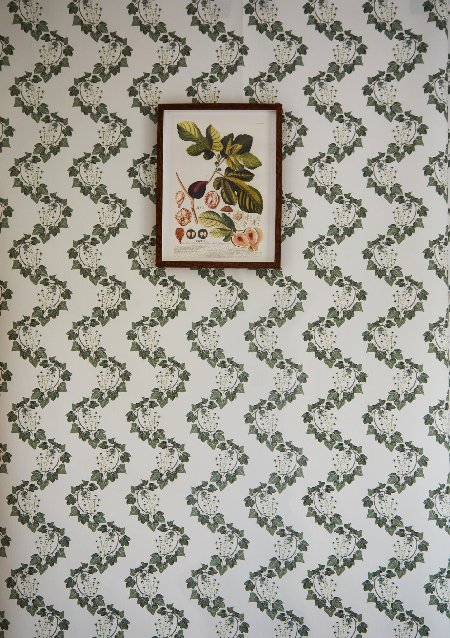 Folklore Ivy Chain Wallpaper Ivory